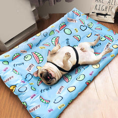 Ice pad pet cooling cooling nest mat